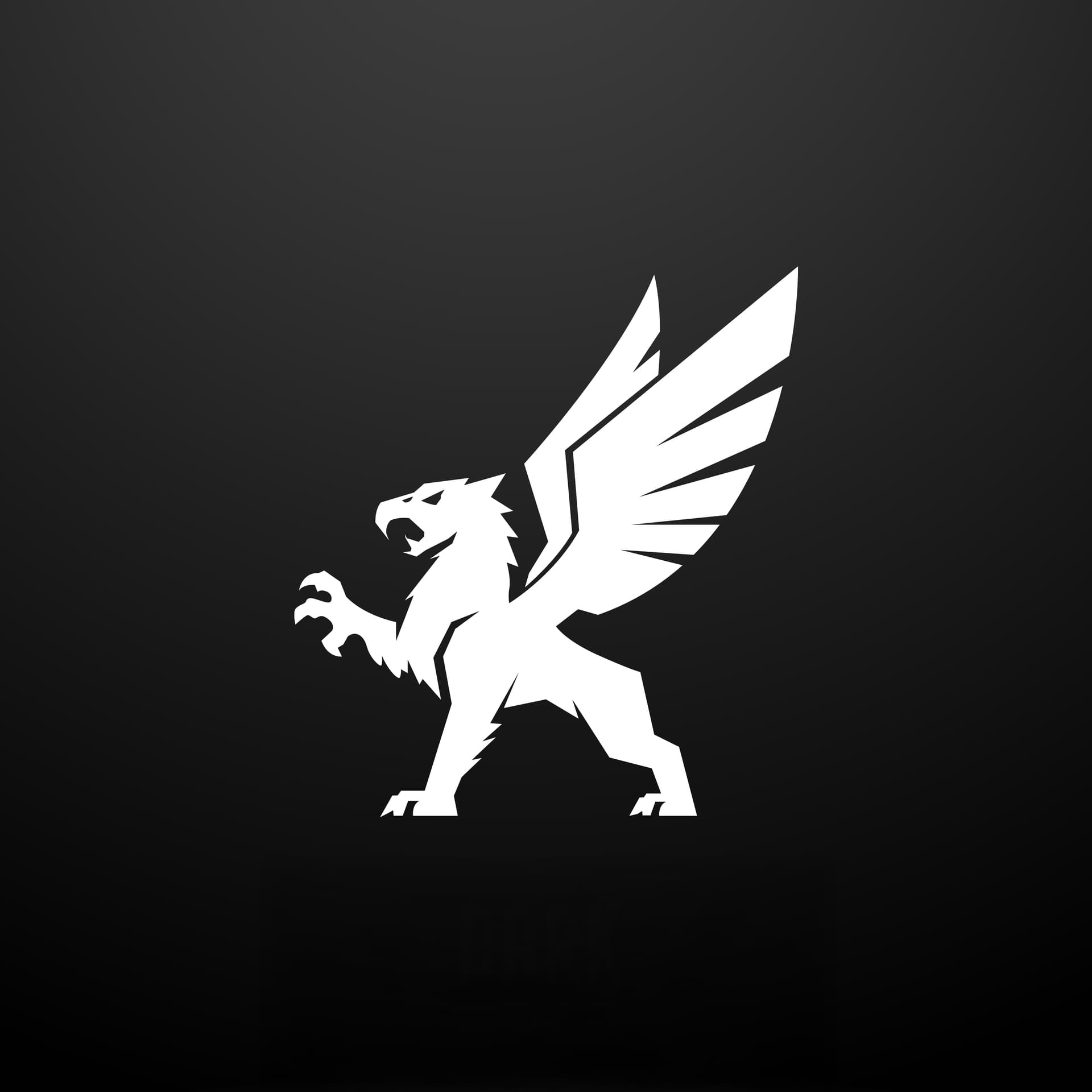 Icon Black BG